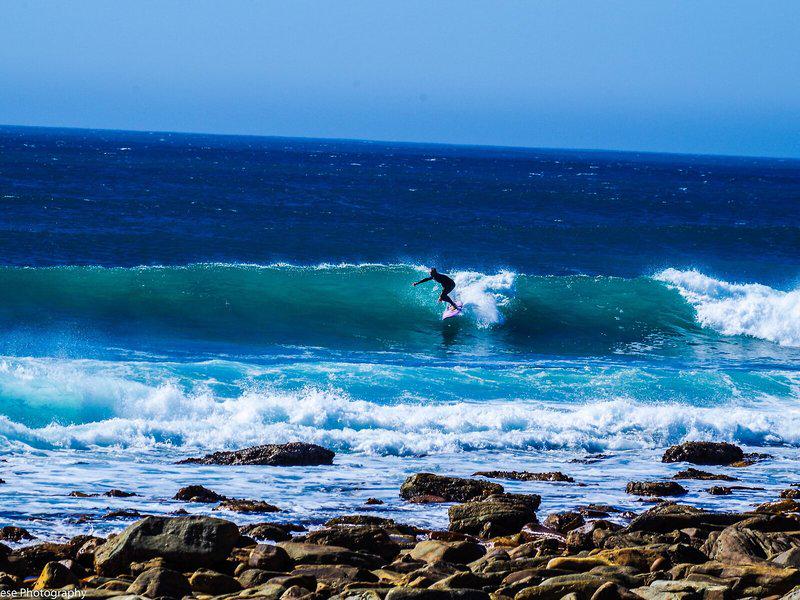 DCA7242184DD54E1BD1780EFE89B3BC7