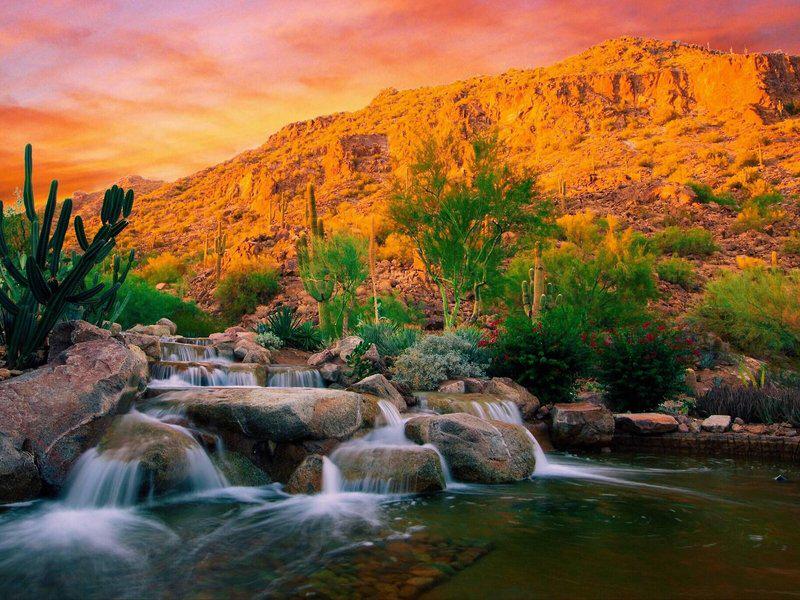 909FB4042F84166534AD92FE952BB495