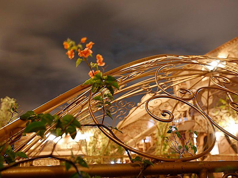 F1A5F1193B69A2992A46D8E1C50CD1E2