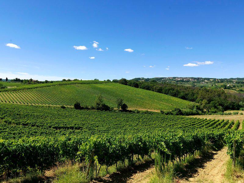 085E69739846CE489704E235DB8A2ED6