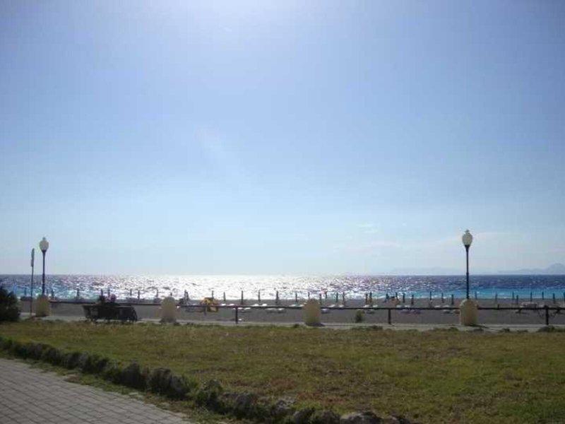 116559FED4F4EEAA467FA0540F2E4D4C