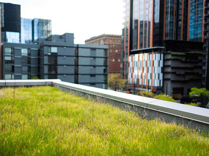 A599CE04268616816FC701FDC6C74E31