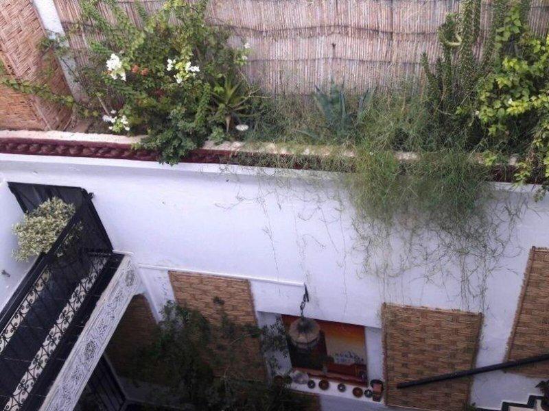 68935E20A2DE5F8A05CC6865E78321E3