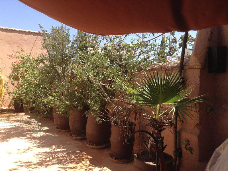 7067AD96D4F8BF115FB01D6CA223EAEA