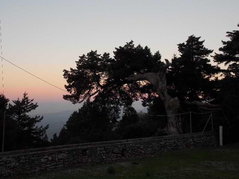 5EDF81719EDB81A457EC014E553864F2