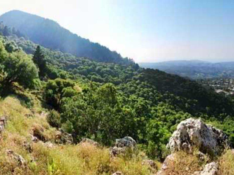 8B715FBC8BE4CA88C20D0240E101CF2E