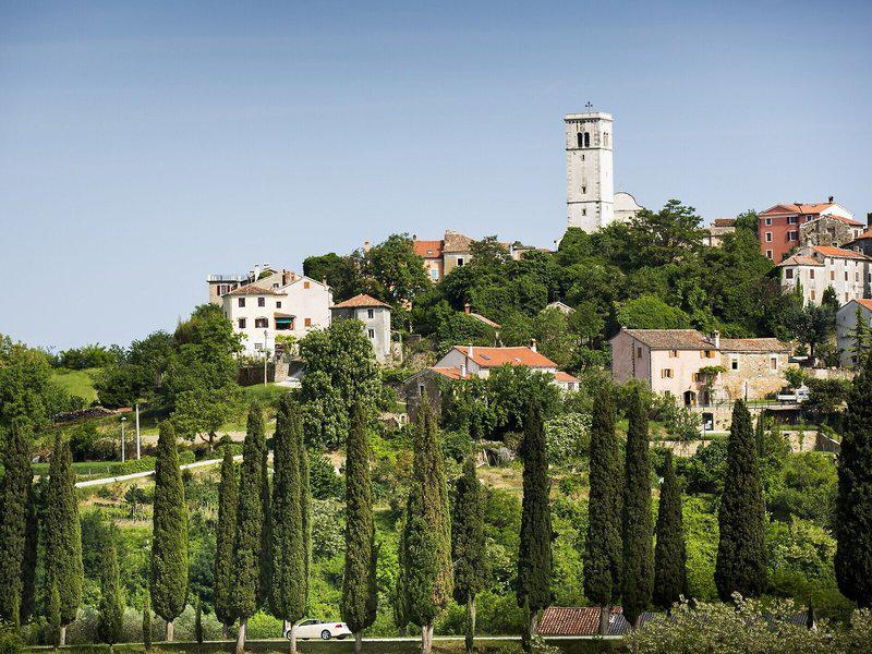 A1AECC371AE423D97B8C91C6AAD76D83