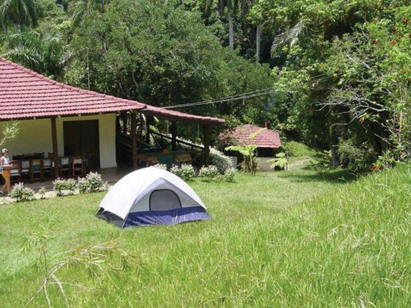 4C311538B36F83B3D985FC022EEC5006