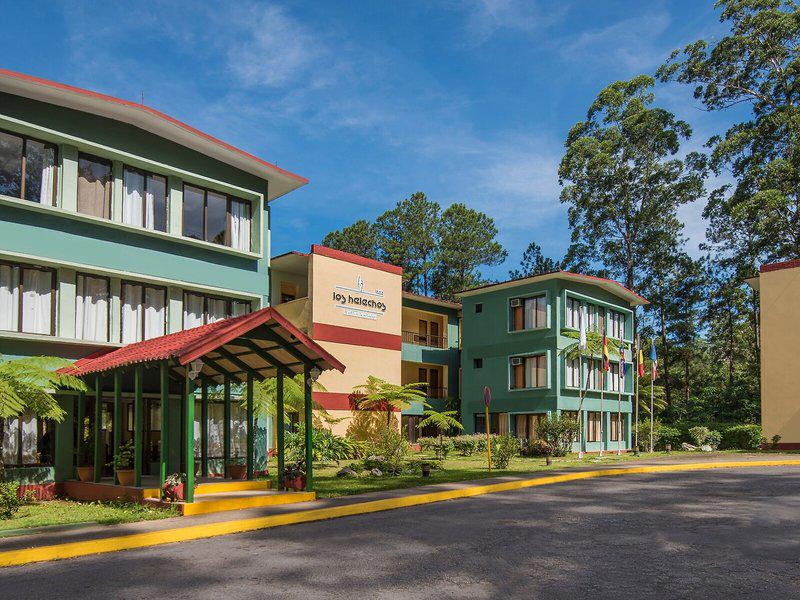 9F551C04CA93805C820935567889C054