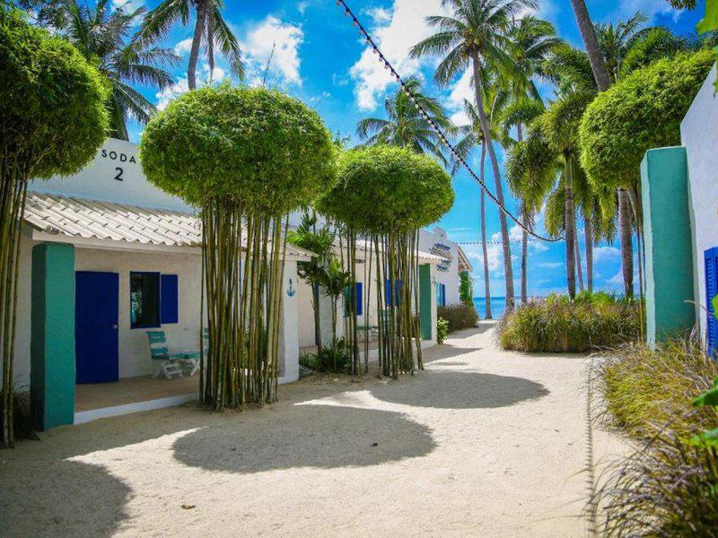 0A4E2DC321F1B417ED317559ED2AF6F6