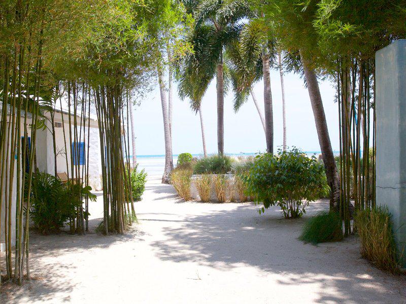 7B7EA988C0284DEA8F39334621F8687B