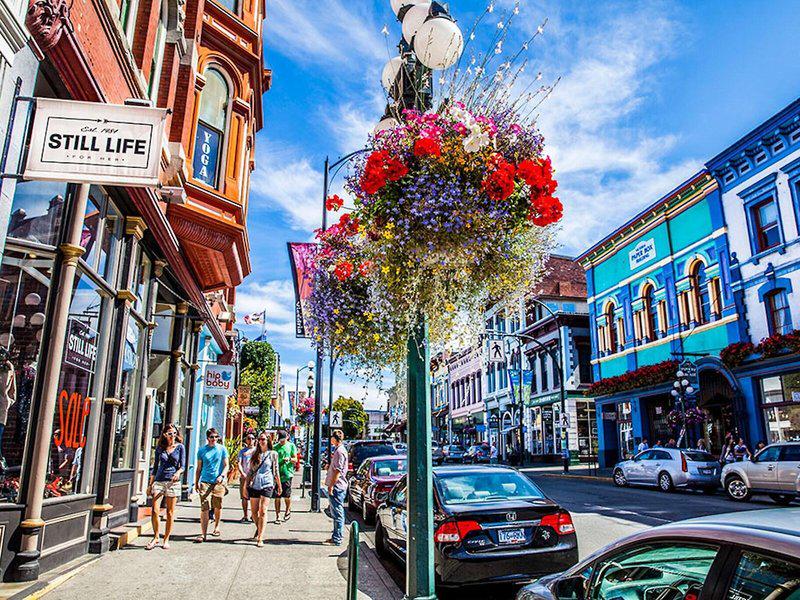 A87E2D974FCDB05613D95889DC5BDD58