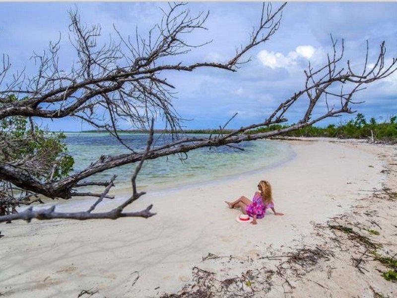 5055C655DCD559491D7A433C0072757B