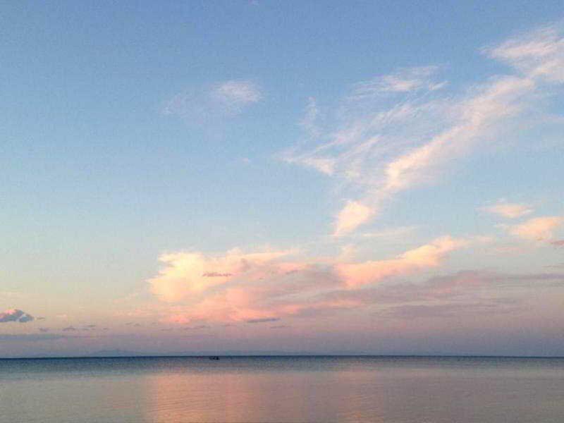 1EA0F1347A85118B139F4355EC34B2AD