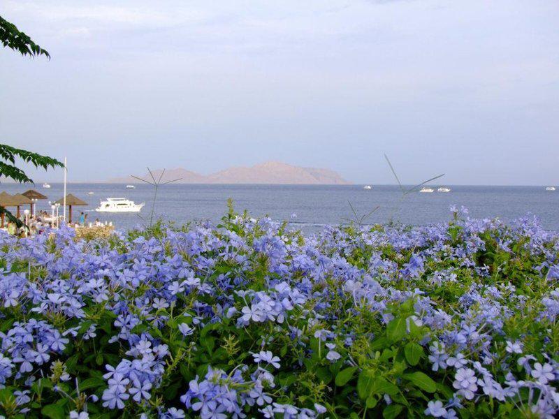 2EF0F2FC9FFB38D93A334D2374A0A71A