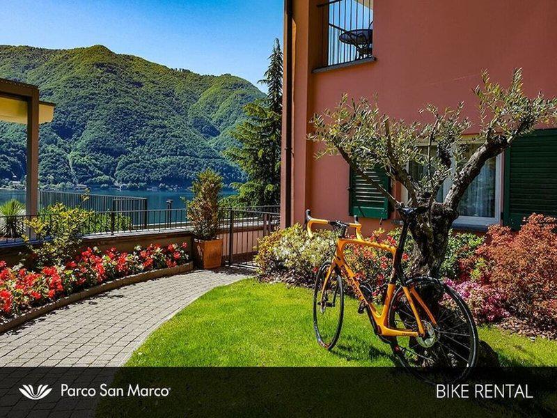 D2E98239A355B5411F2F92756E72B6AD