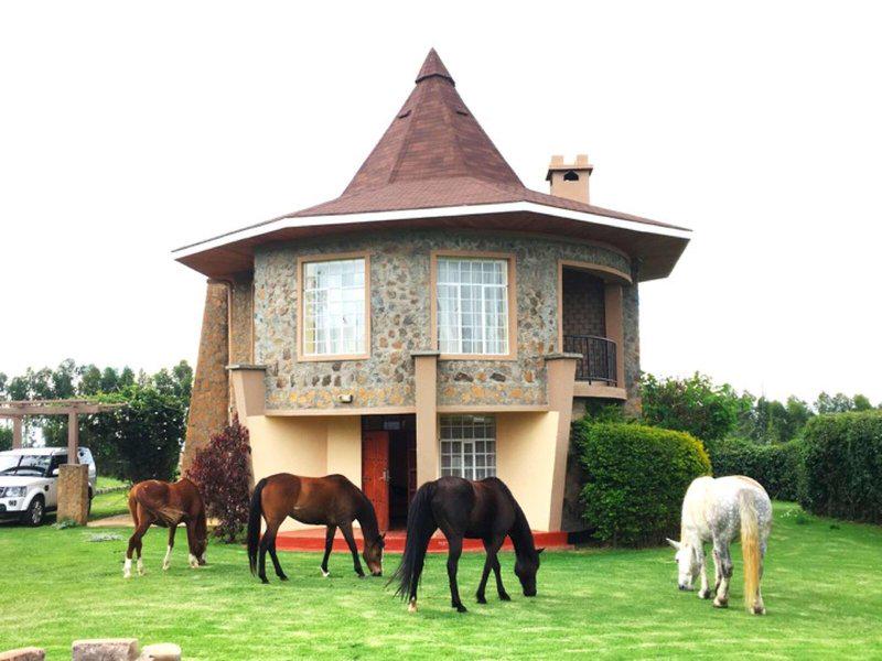 22BEE6435C190D506C7BC39149EE300C