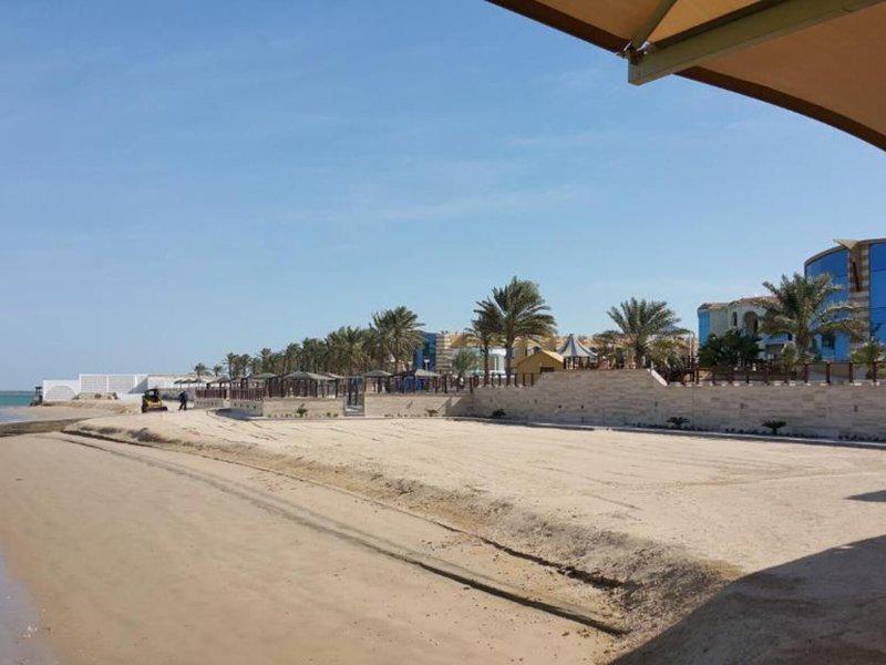 A2DD2C076578E318DF583E963AE6539B