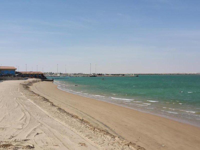 0BAC8DBF336CB14F37DDC628ABE59219