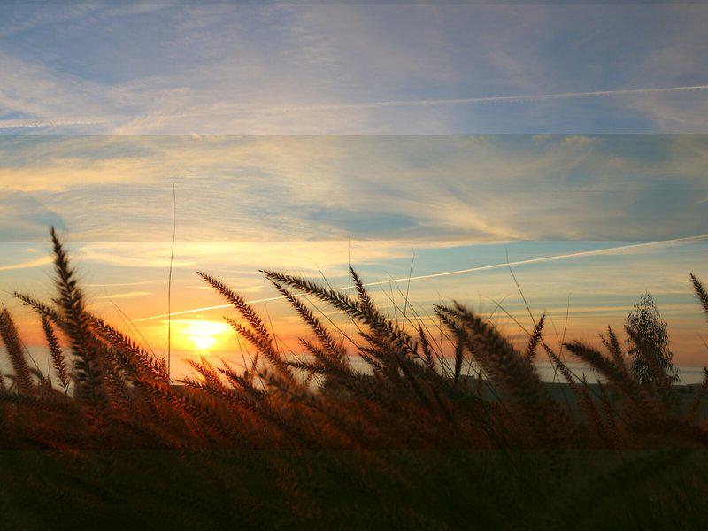 1CF0598E1BE3908E711A91839CDED46D