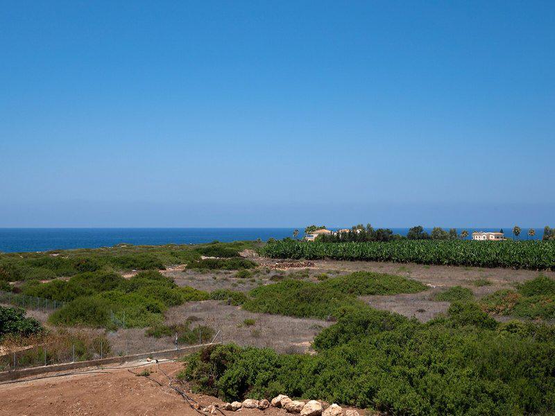 0B4C09A498D56A8D6363E998187F2CE1