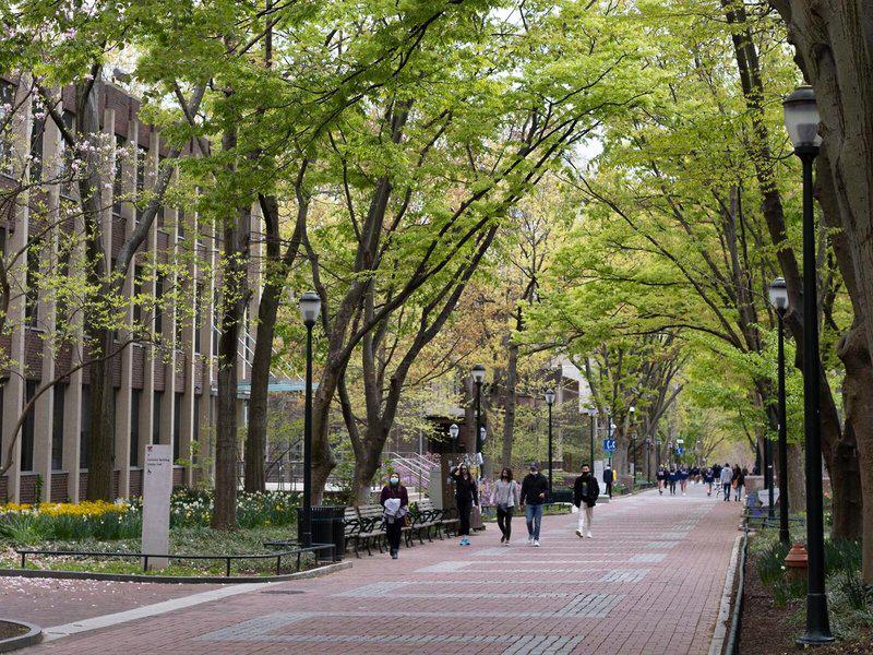 CDE4E202F29A9946654DFA86F666DFF0