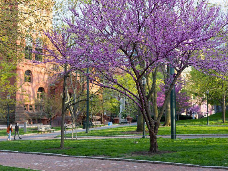 49B1FA06EFFE83D3D71CE141BBFB486D