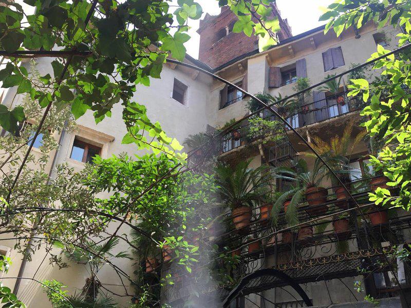 7C812B9EFE4CDD2CEFB8C5DC2C266C81