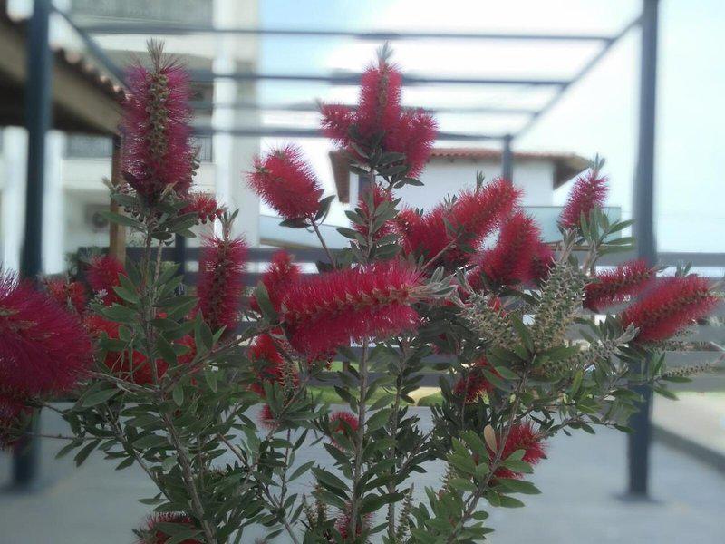 7A36D0044AE7E9C28BAFD33A997B0FFB