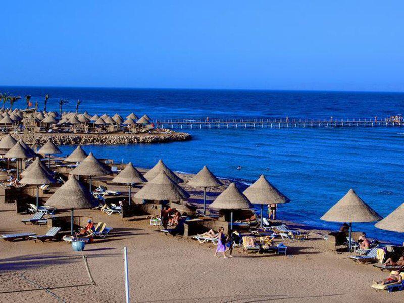 9464D607DCF89B7DC3F0C7CE870893BA