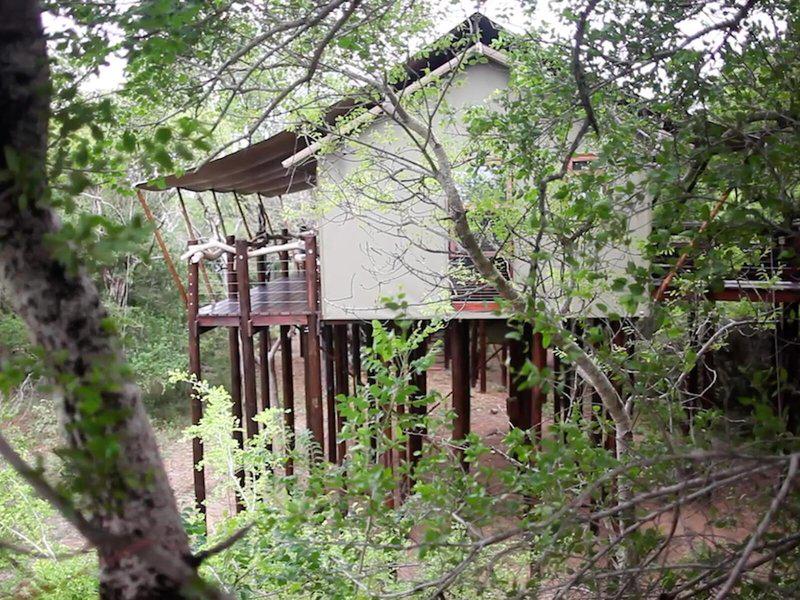 8B92E27B88C64773645B150E456E8332