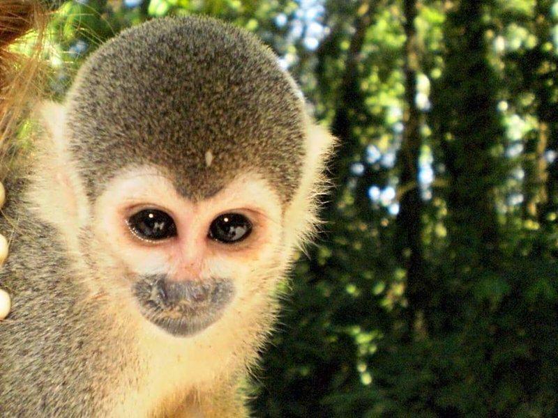 8D961ED7400583116565E19094B539CD