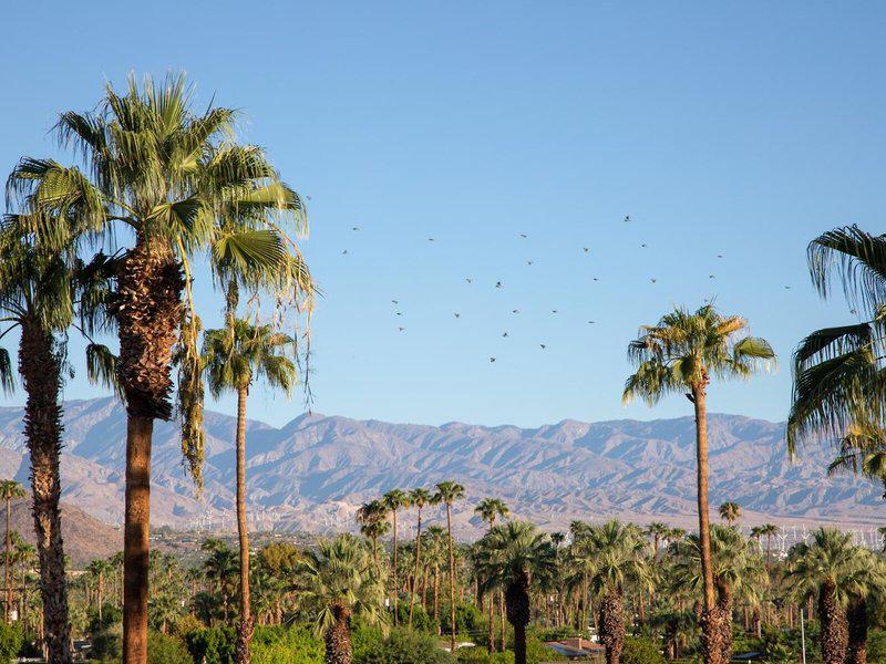 766935CC0AA91606D98EB2C99519D7BE