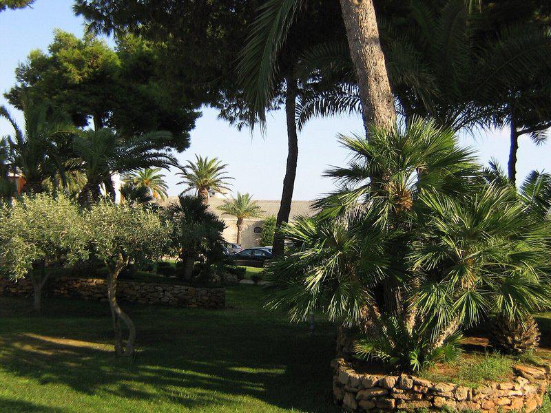 CE87CFD233A986106C24699DFFC7D1FD