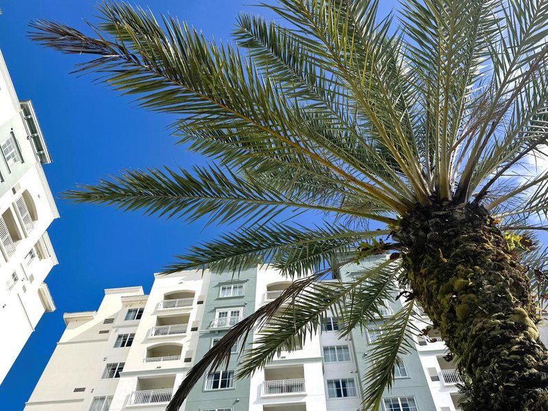 886EDB857D9C9574ED5E2FC7C495E053