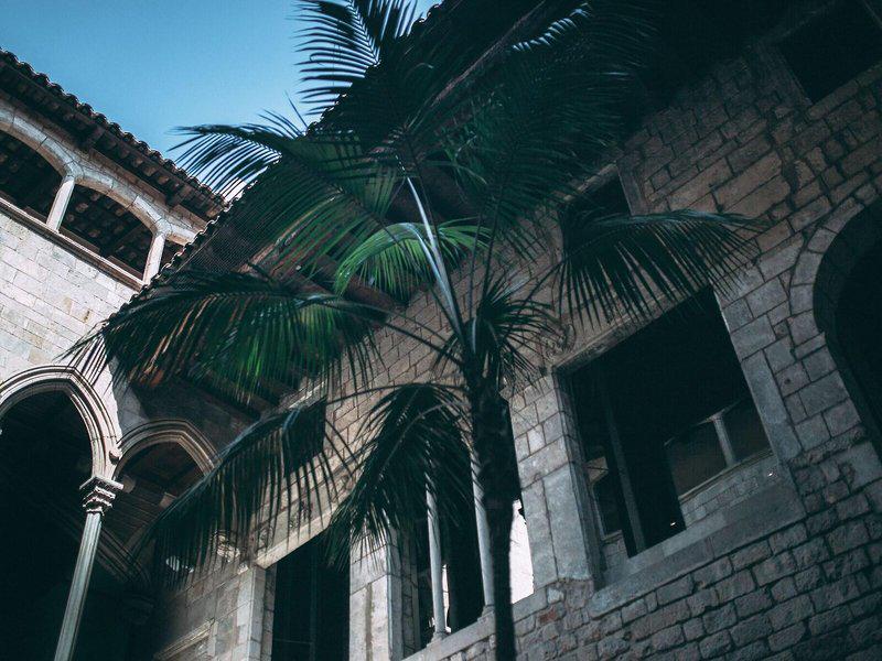 FE2B41E514567C5F2720F88BDC6C6C91