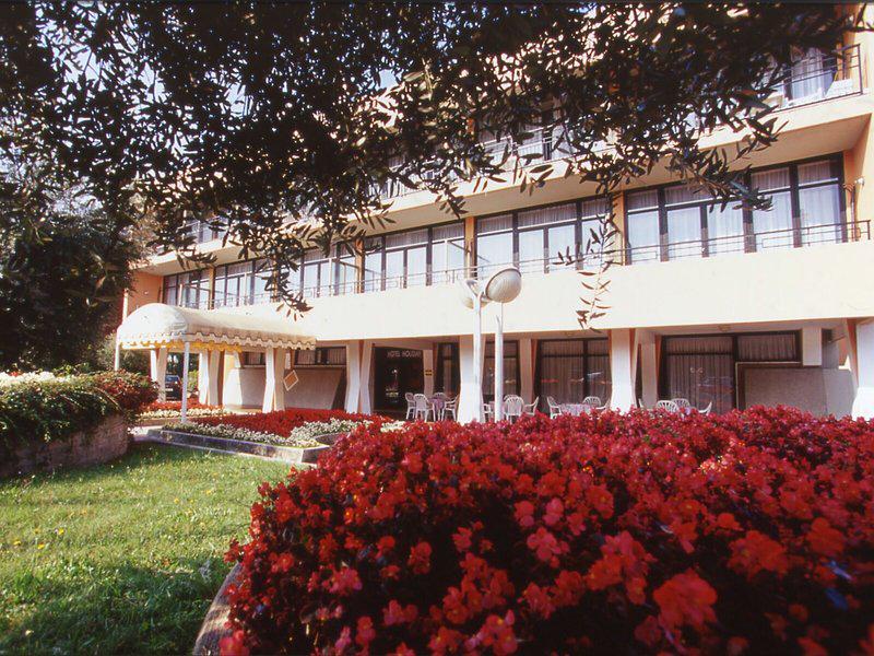 9EA70334B7EA2B6A66C855DC2DBAC4E1