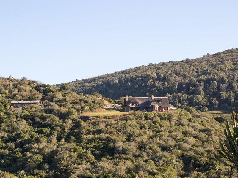 06E517DDC035D09865E1A4F3E162FD36