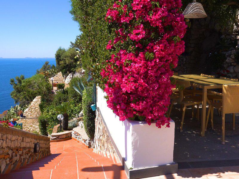 1E038ED8D181CD8C529DED5FB6EBAF95