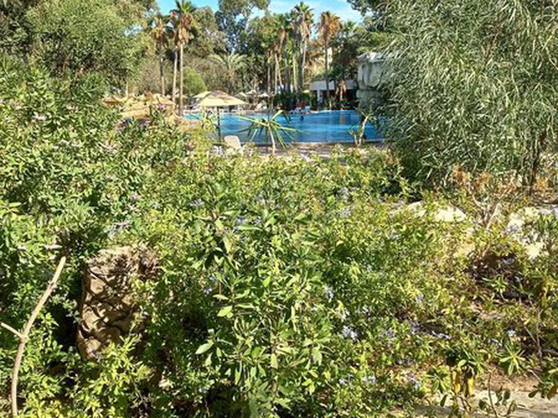 DF0A5E8F672E77853D78D90292B1B426