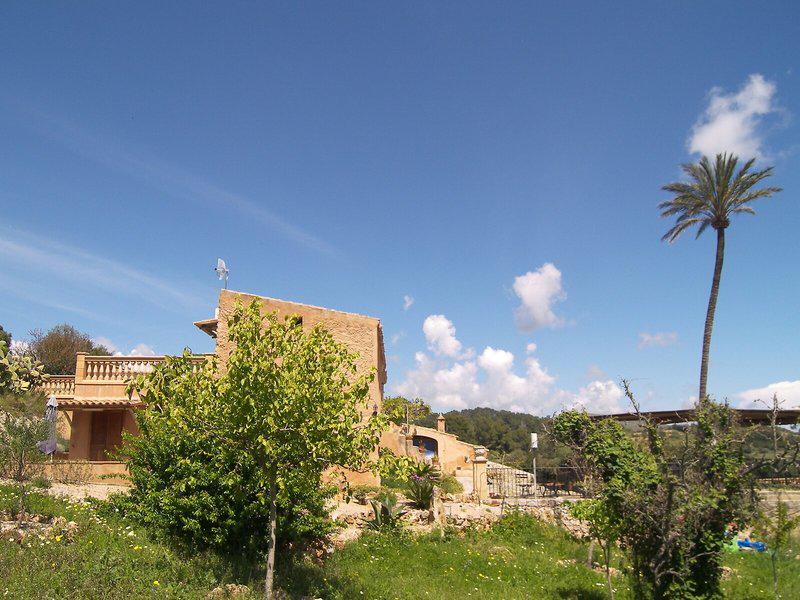 10D8E3C2D38A775BB003A08E12513C4D