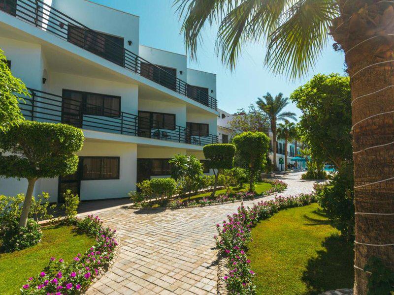 17E4FEF8663390A2E8A59CB4C8403682