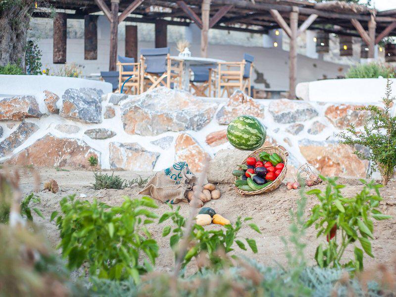 73B8CD7C0DDA2449586EFA6AAB60C233