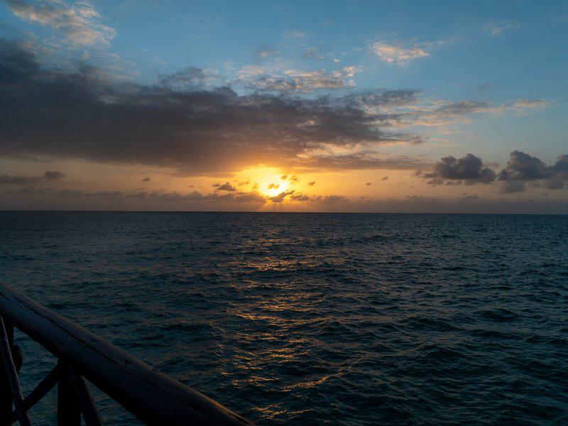 9E258F7CB06778826000FF2FB99D7D8F