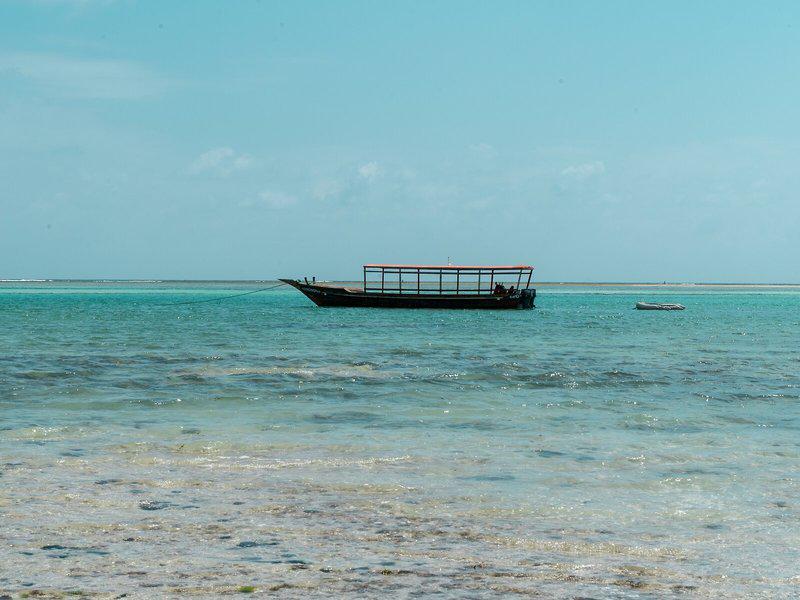 FAC2EC0D6ED0378821CE167E39ED59B7