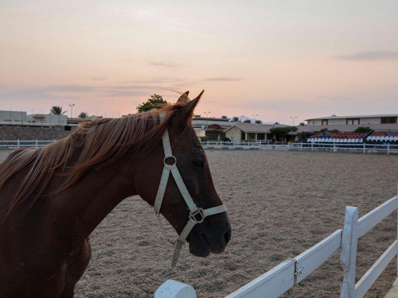 EA8D8F25446F58C214641CD488C04FF9