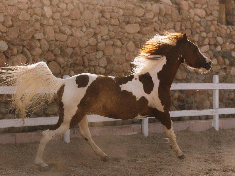 E84E3D4B68F1CD8C0A95ECC15463C5E9