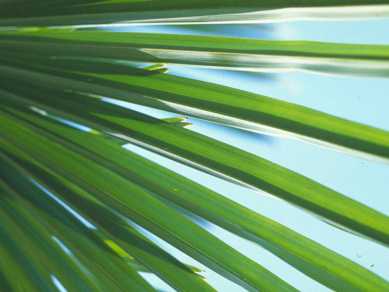 0AAFECB652E79230579B10D8FC4C367B