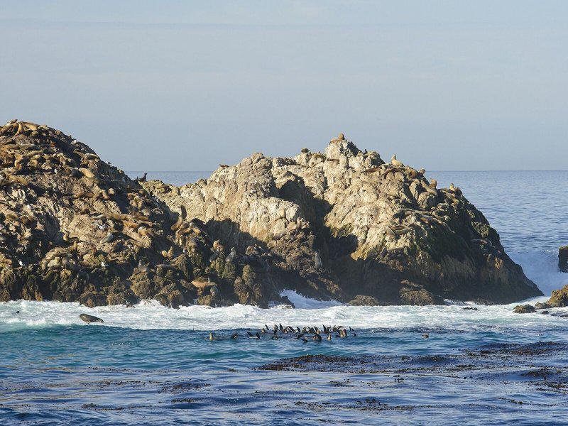 120C67E8B6F549F0148AE9086896D1F4