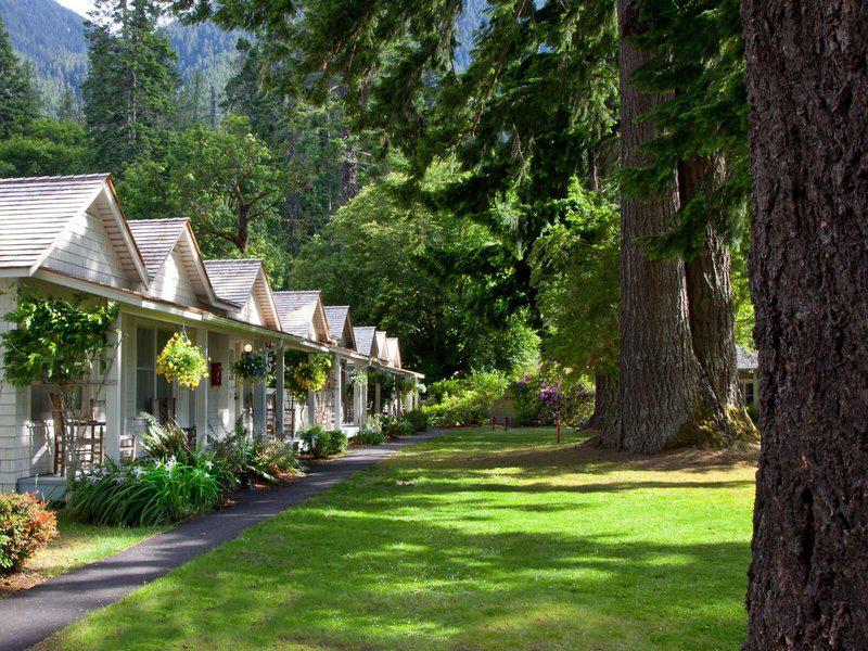 48131A2C45FCCEF96B67984AD56D952D